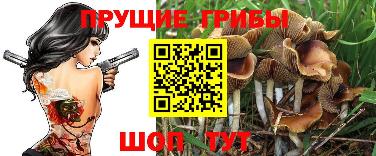 Всеволожск  Галлюциногенные грибы прущие грибы  Псилоцибиновые грибы Magic Shrooms  Вход с VPN 