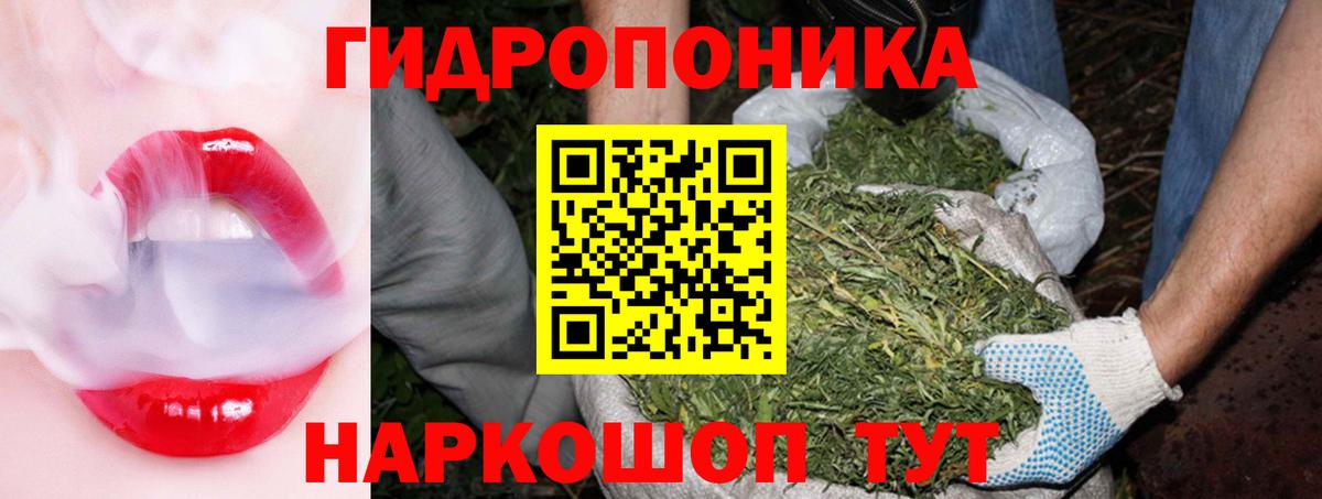 Бошки Шишки Bruce Banner  Вход с VPN  Всеволожск  Канабис индика 